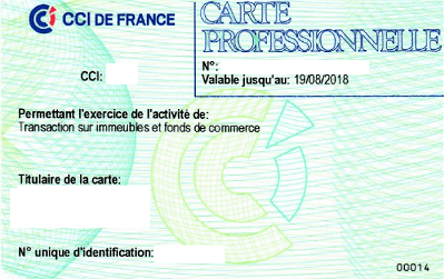 carte-T-profession-immobilier