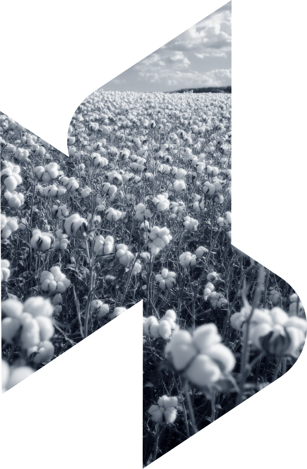 DS Finance notre_approche